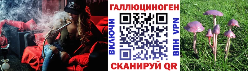 Псилоцибиновые грибы Psilocybine cubensis  как найти наркотики  Усмань 